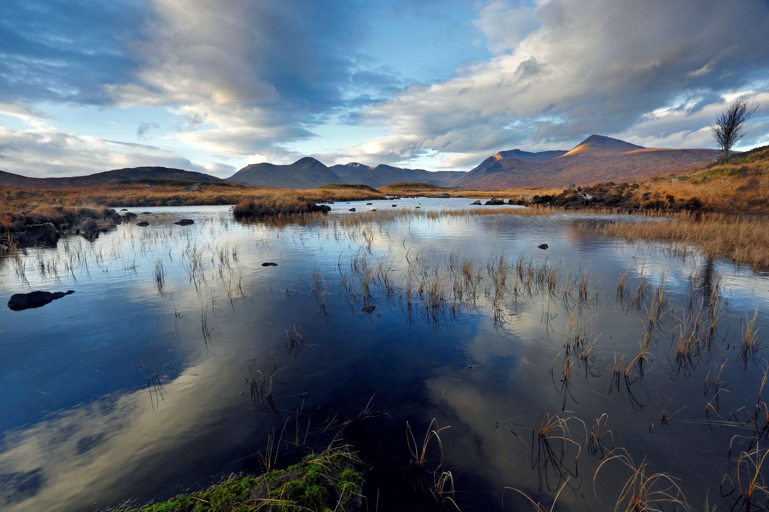 Loch Buidhe on Rannoch Moor near Glencoe