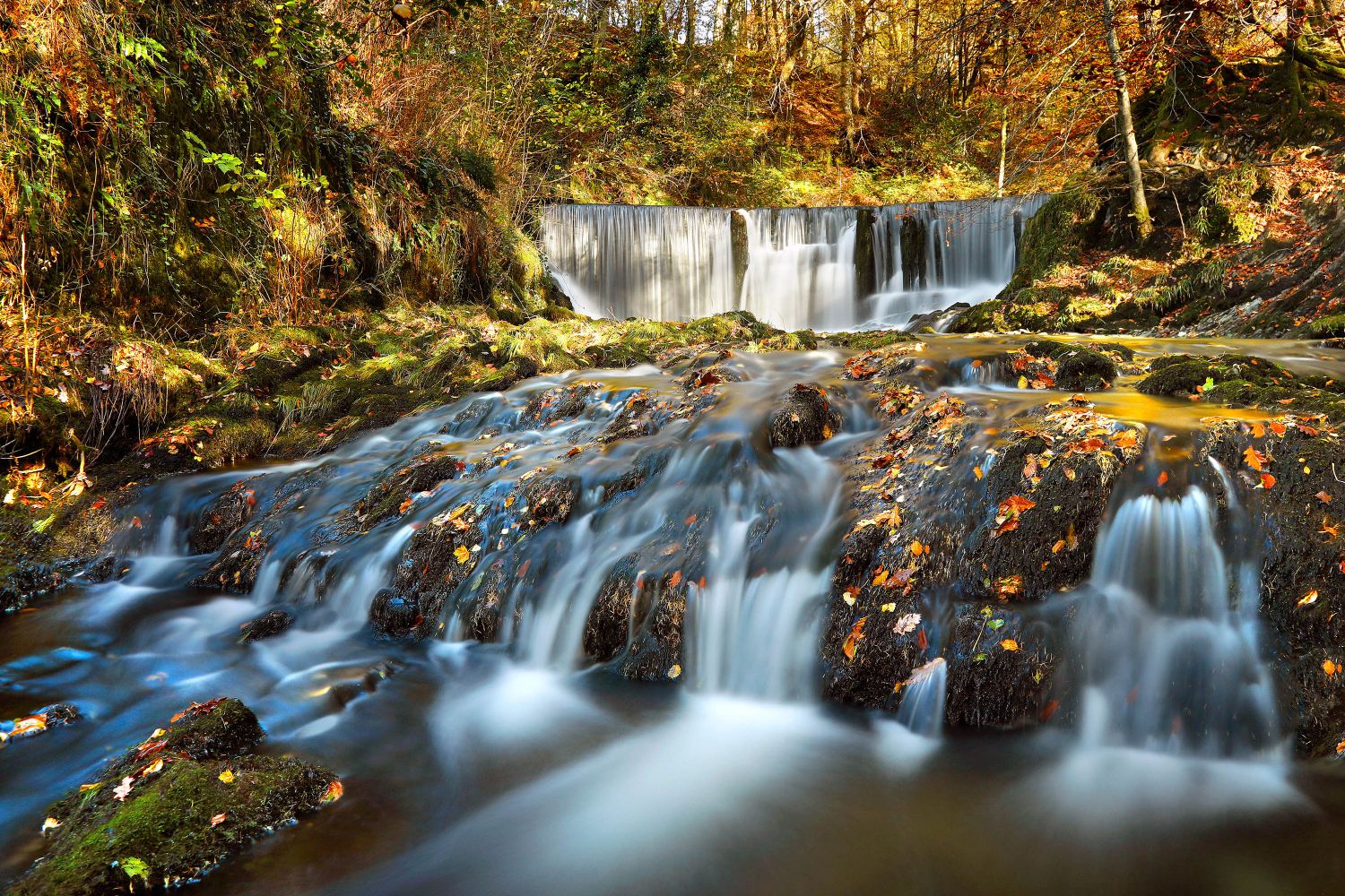 Stock Ghyll Force by Martin Lawrence