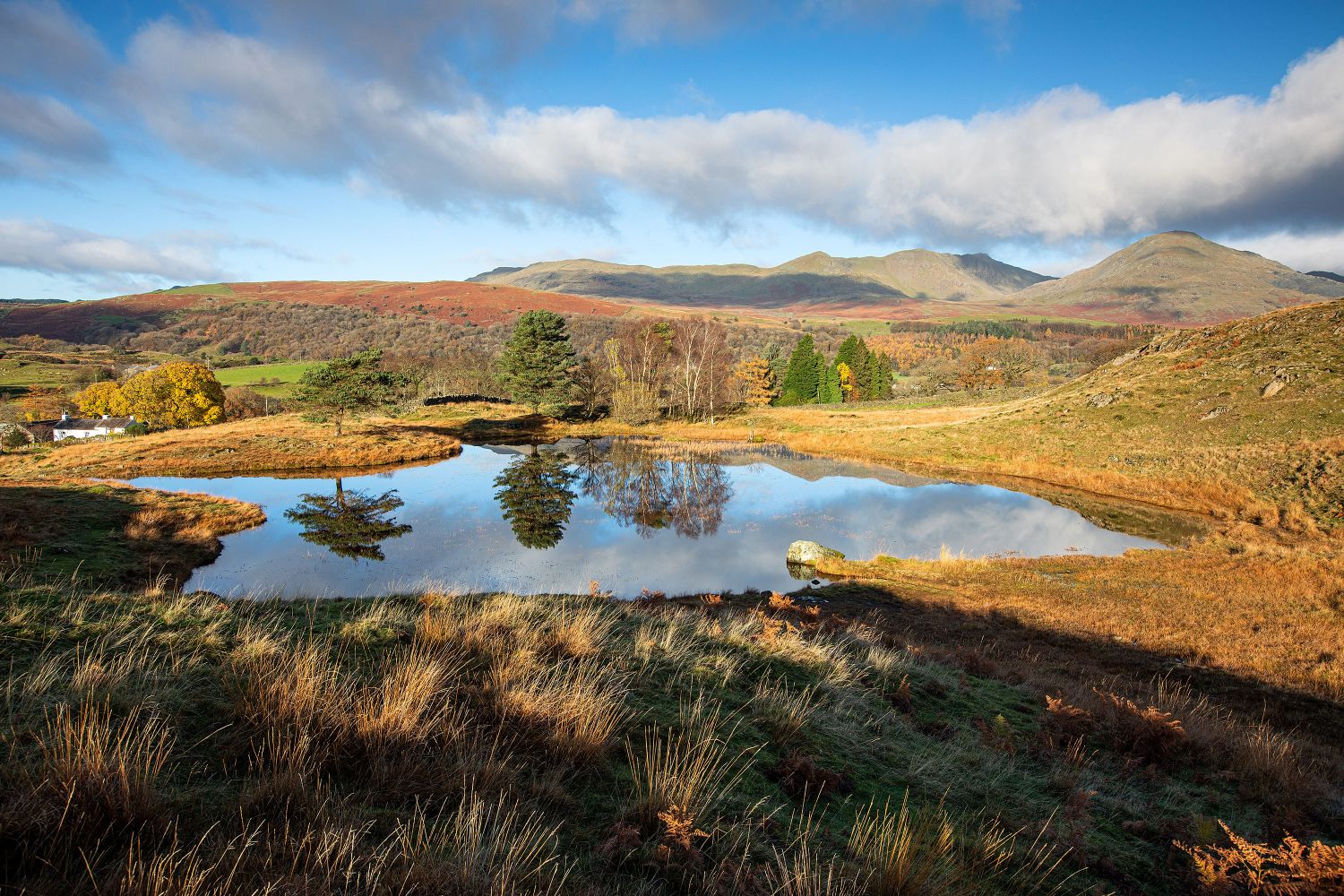 Kelly Hall Tarn near Coniston by Lake District Photographer Martin Lawrence