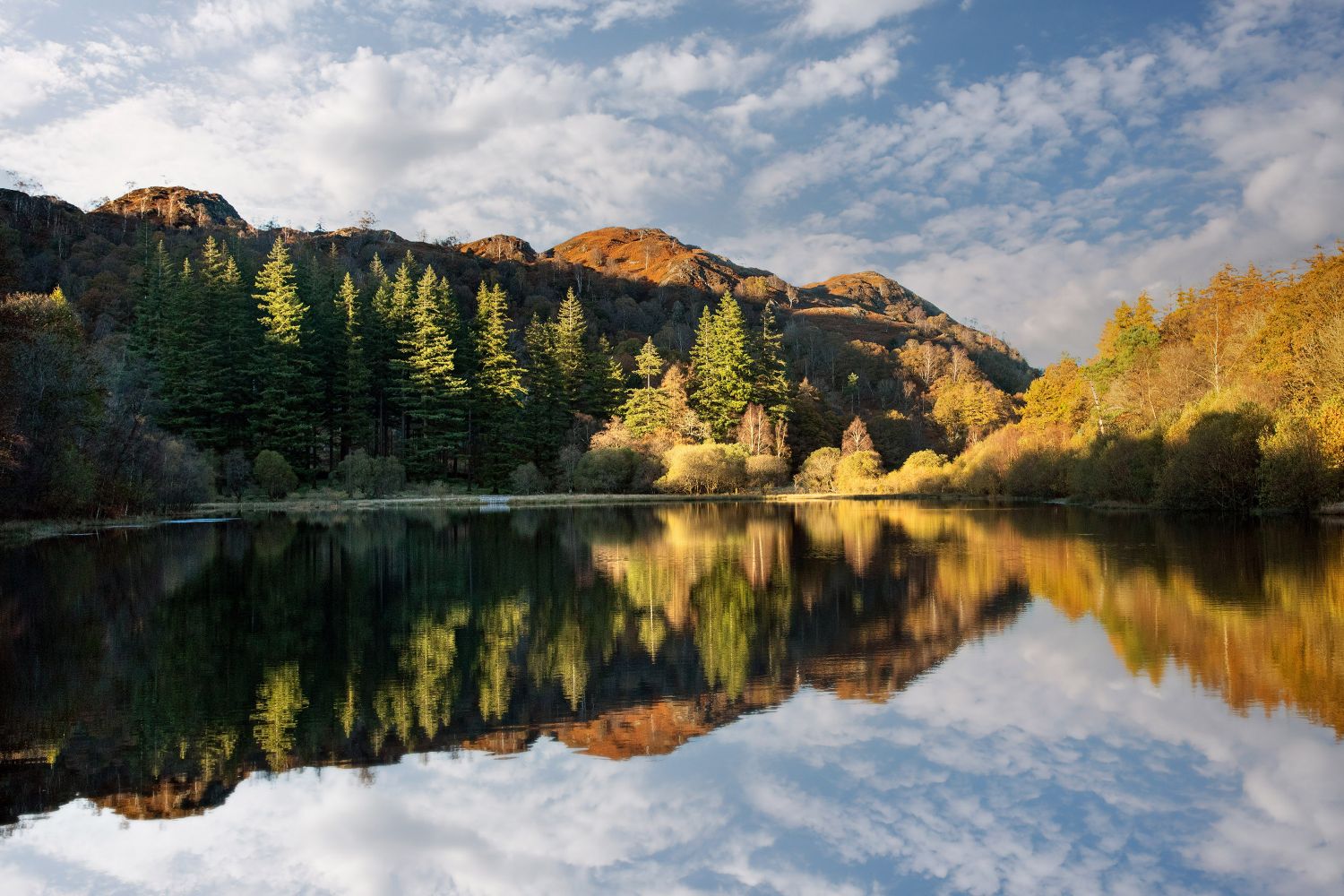 Last throws of autumn at Yew Tree Tarn