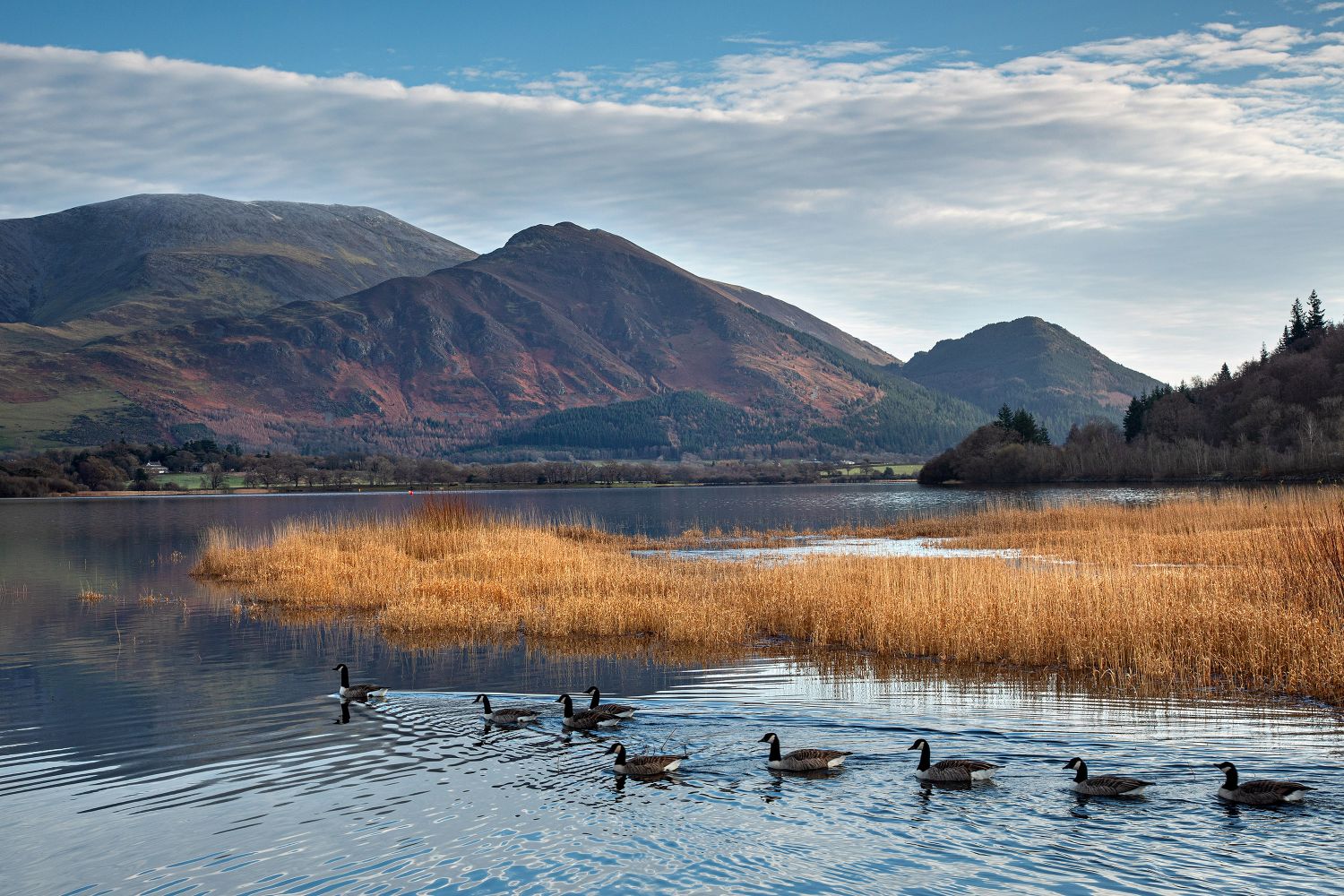 Skiddaw and Ullock Pike from Bassenthwaite by Martin Lawrence