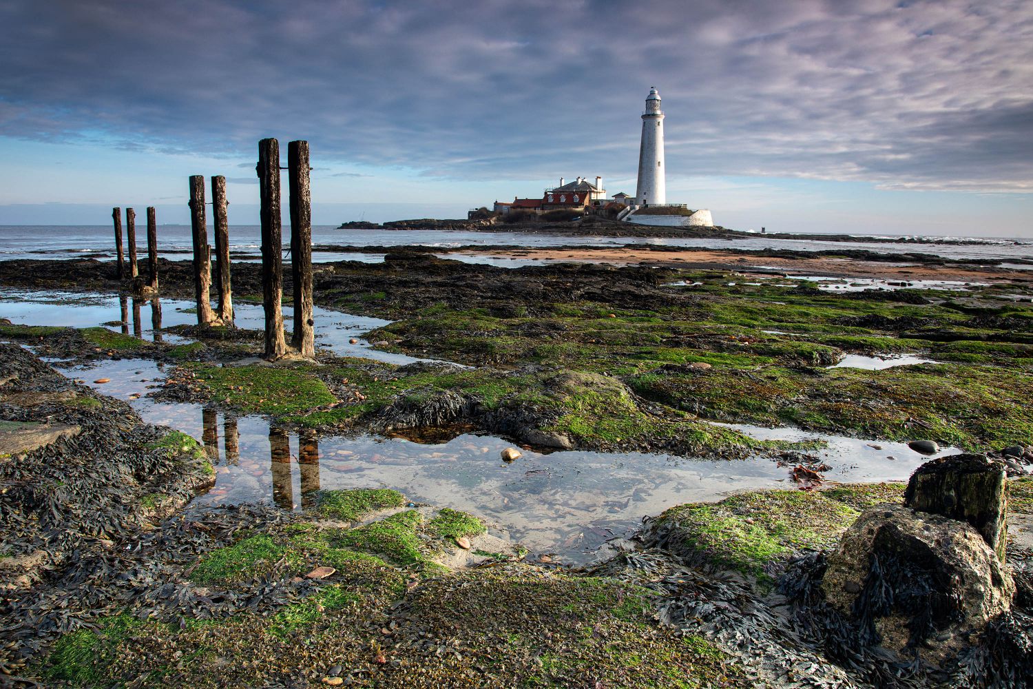 St Mary's Lighthouse on the Northumberland coast by Martin Lawrence