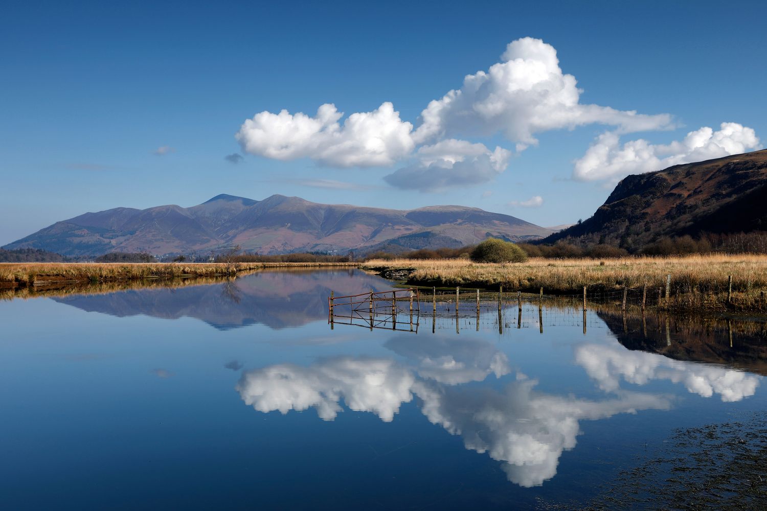 Skiddaw under a cloud from Manesty by Martin Lawrence