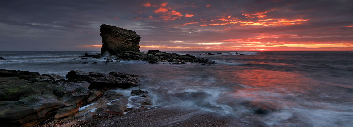 Charlies Garden at Seaton Sluice Northumberland by Martin Lawrence