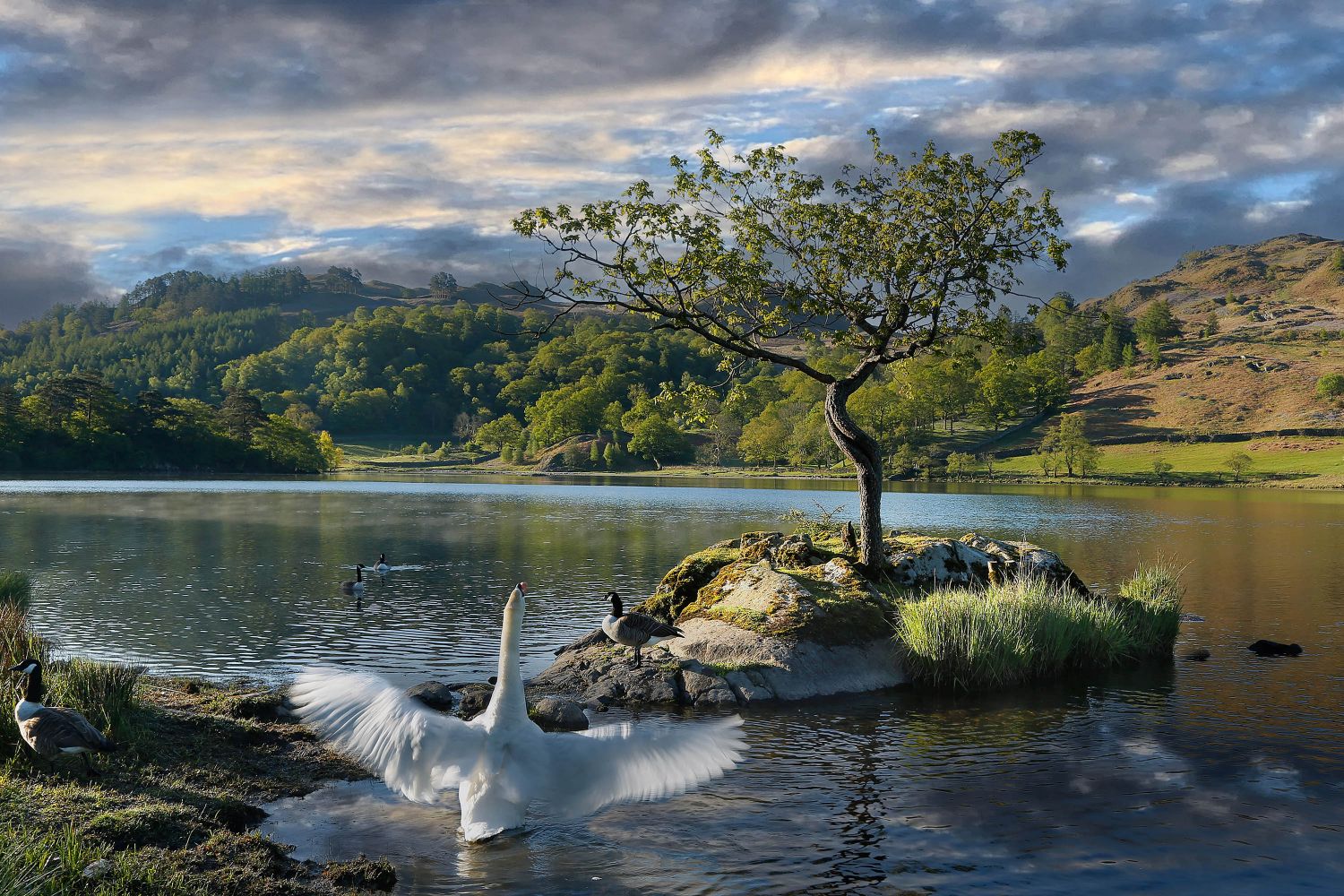Rydal Water  by landscape photographer Martin Lawrence
