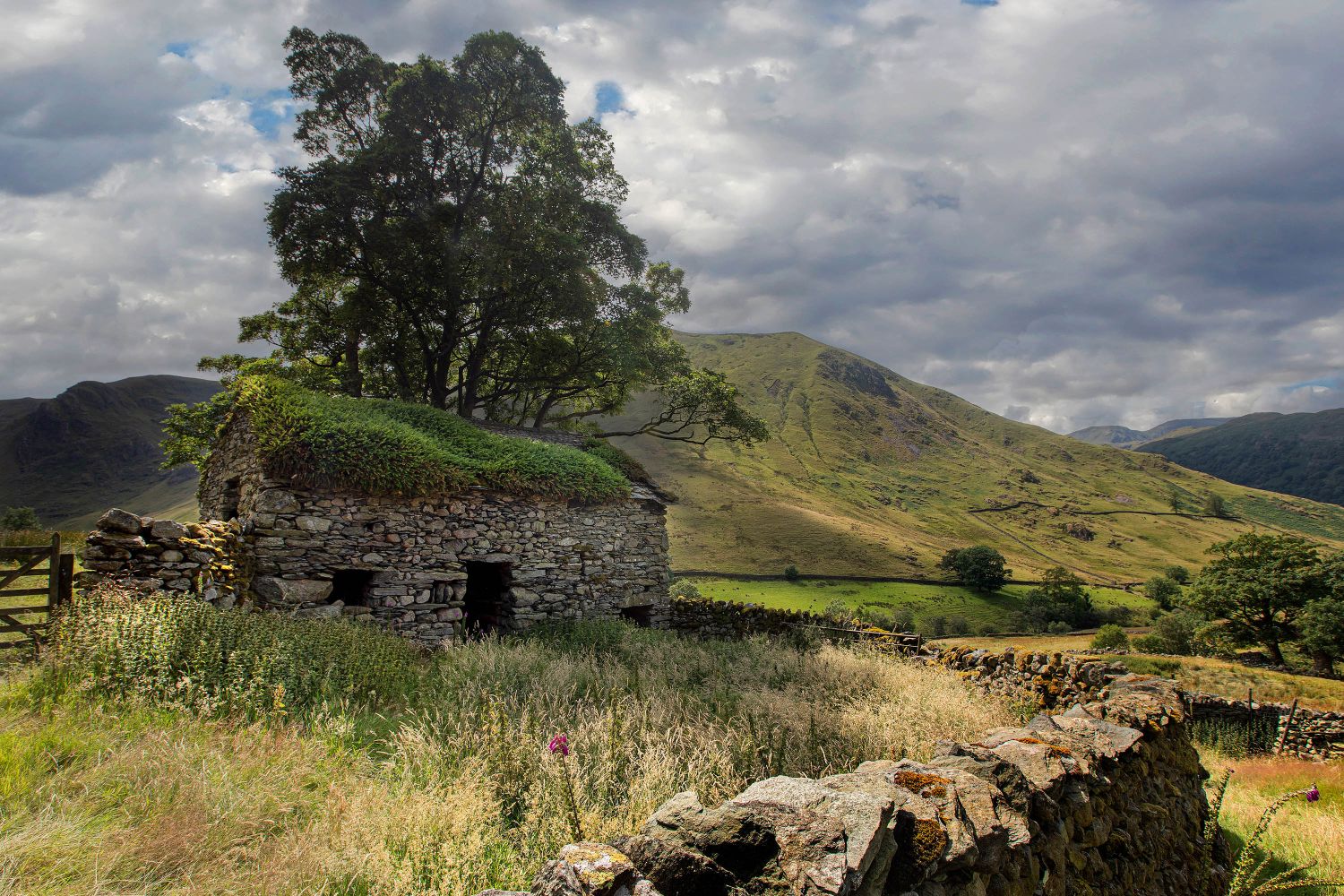 The Tree House near Ullswater by Martin Lawrence