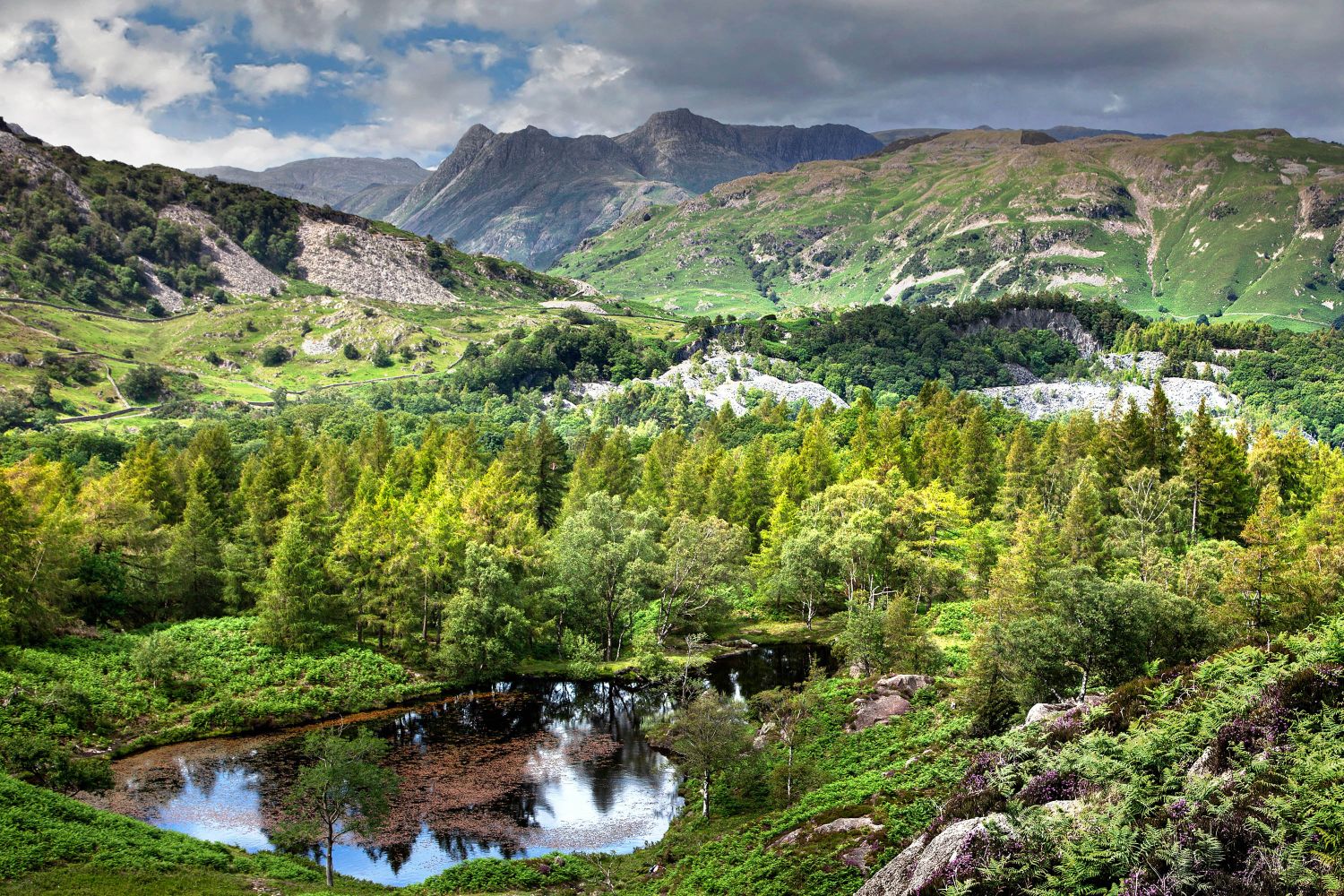 The Langdale Pikes across The Tilberthwaite Valley by Martin Lawrence Photography