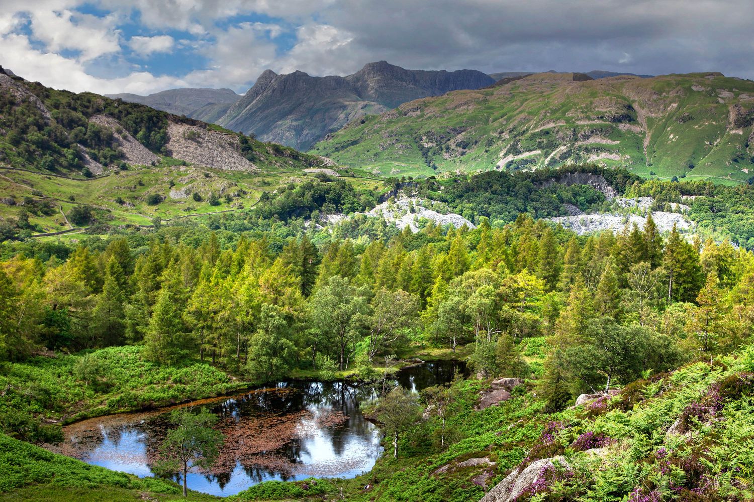 The Langdale Pikes across The Tilberthwaite Valley by Martin Lawrence