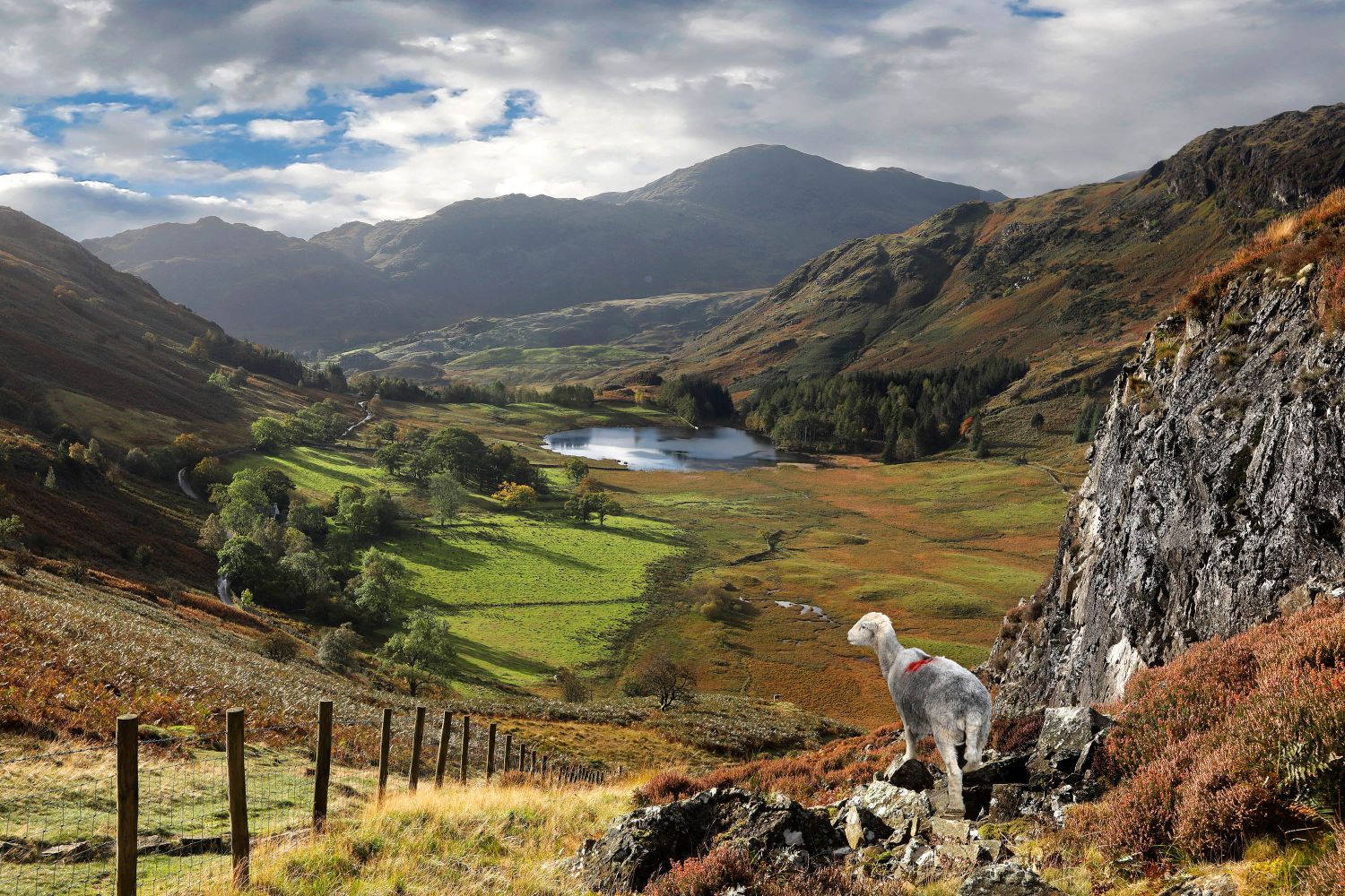 A Path for all to Blea Tarn from Side Pike by Martin Lawrence