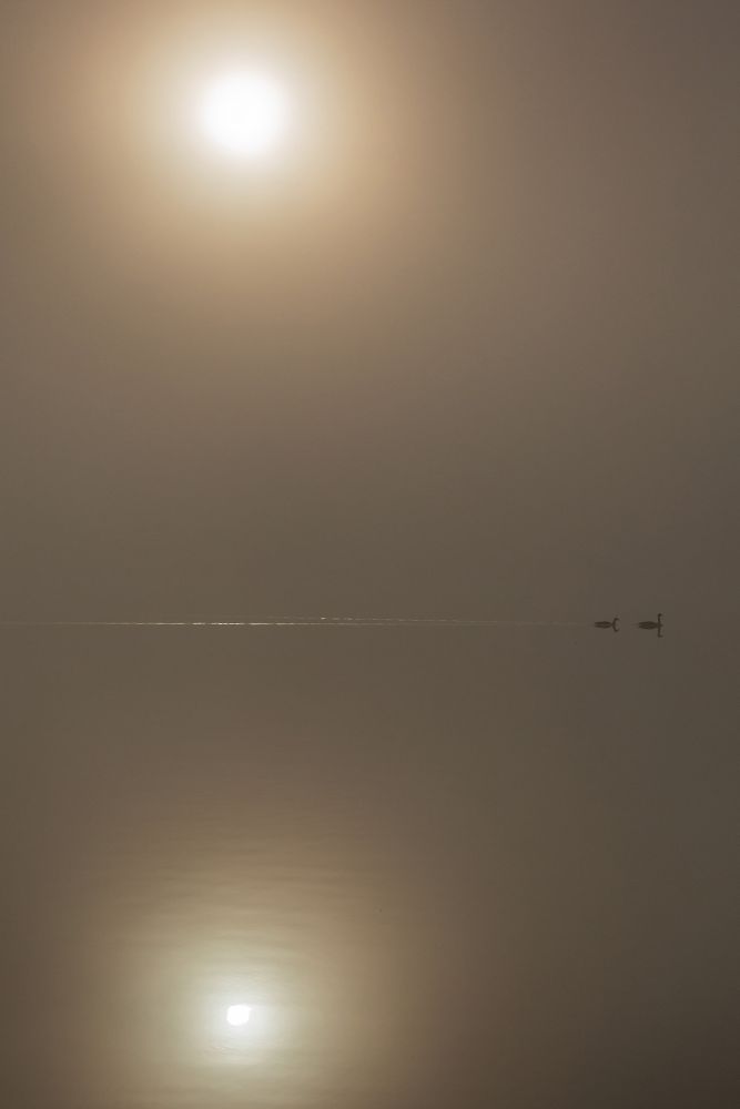 Peace and Tranquility on Rydal Water by Martin Lawrence Photography