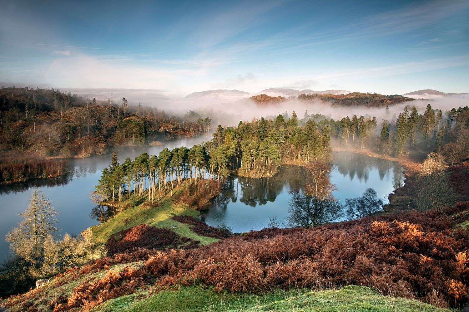 Beautiful Tarn Hows by Martin Lawrence Photography