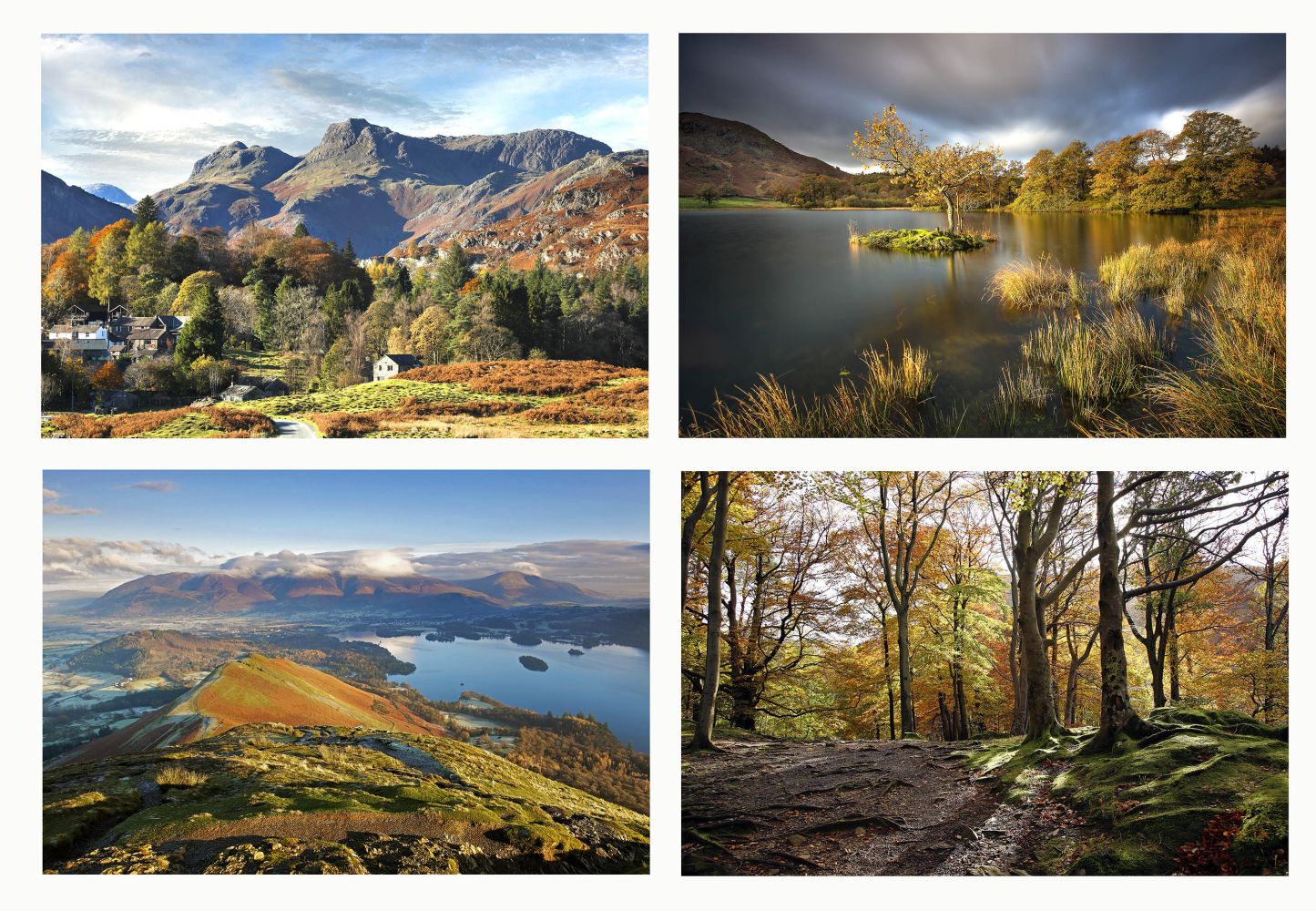 Lake District Autumn Group of four by Martin Lawrence Photography