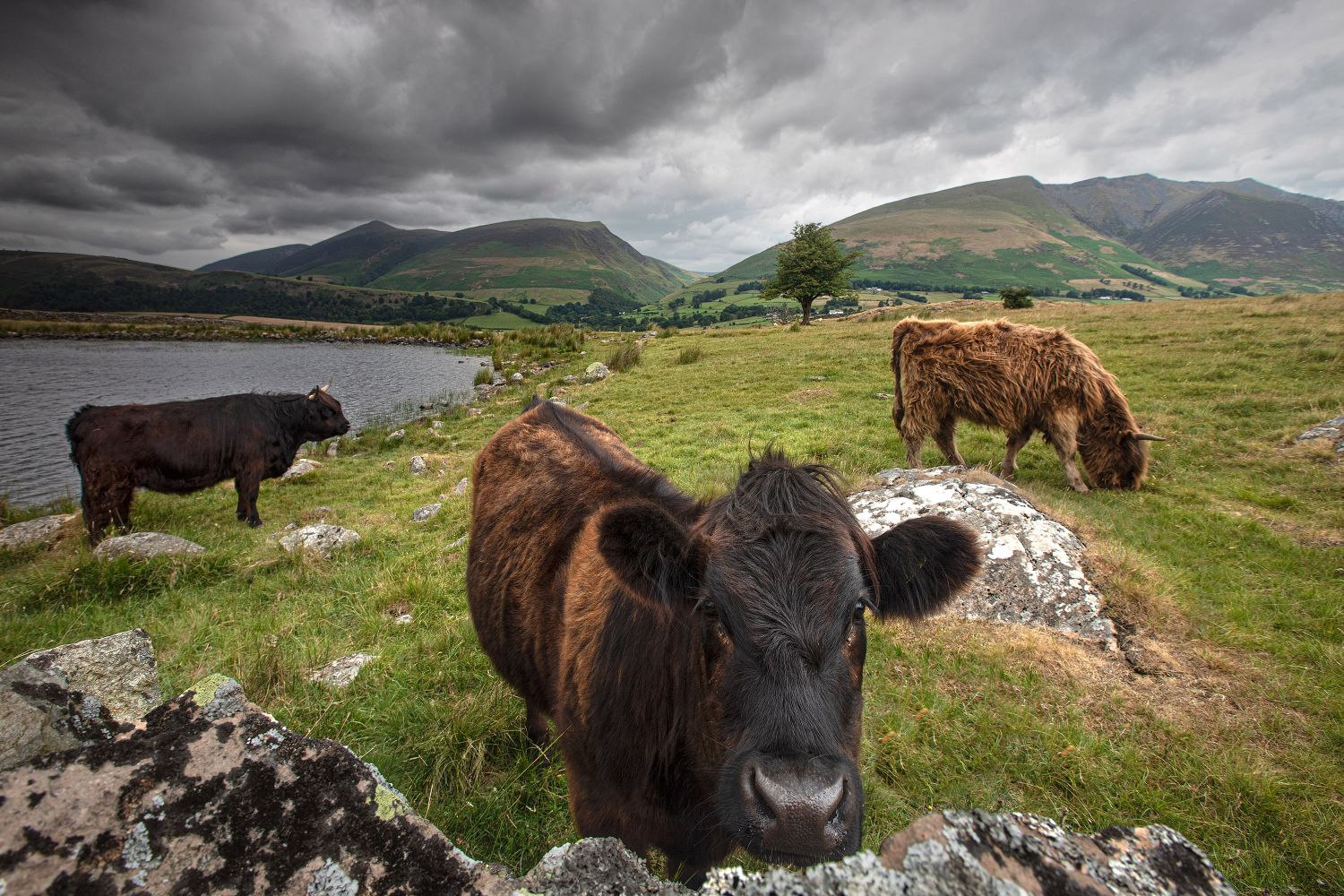 Guardians of The Wall at Tewet Tarn by Martin Lawrence Photography