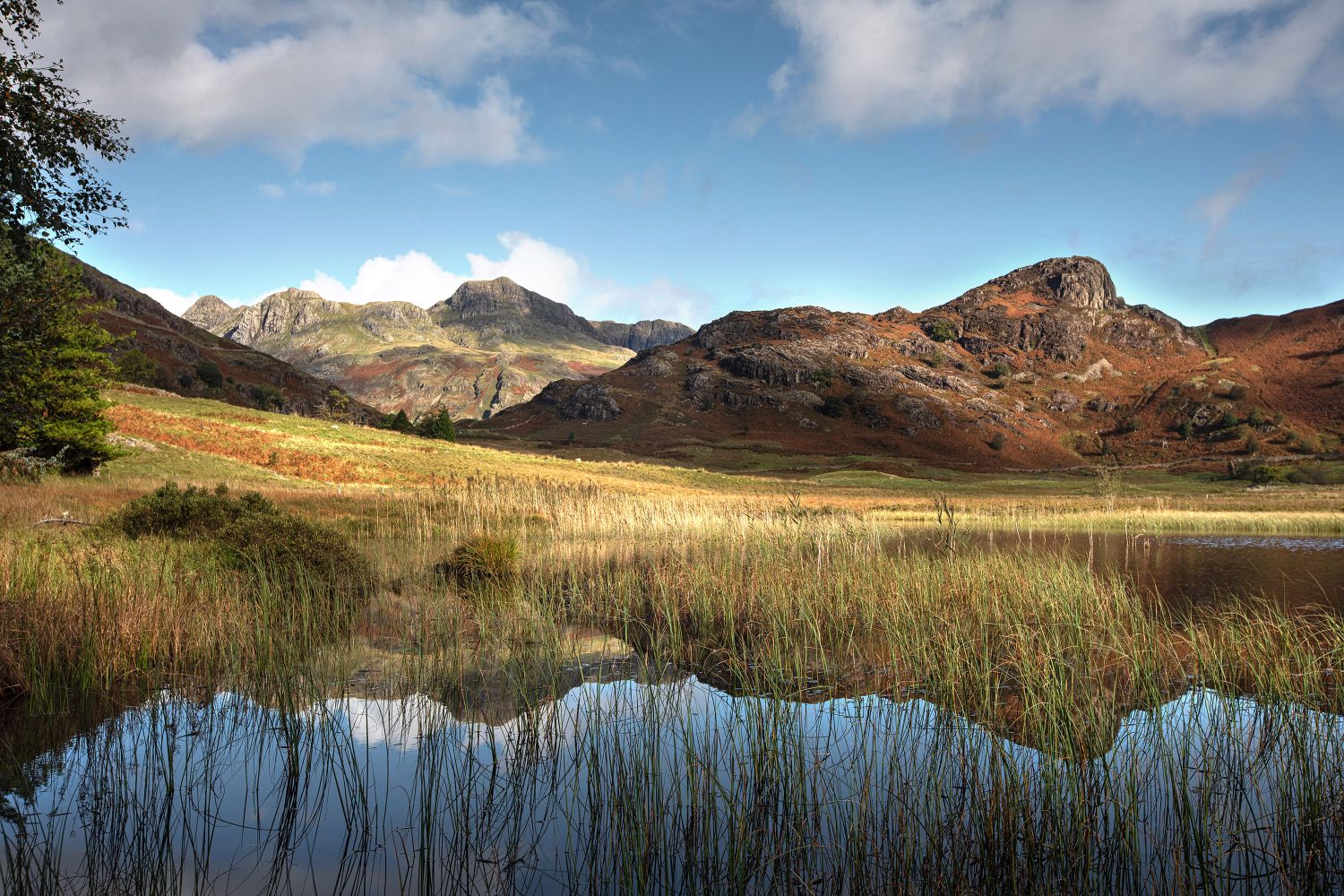 Autumn colours on The Langdales from Blea Tarn by Martin Lawrence Photography