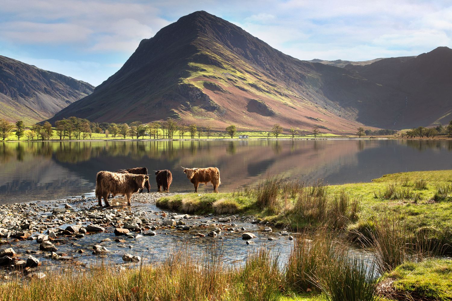 Just Chillin at Buttermere by Martin Lawrence Photography