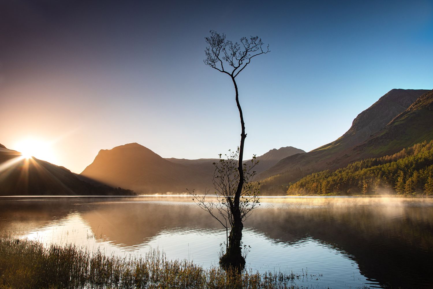 Sunburst over Buttermere and the Lone Tree by Lake District Photographer Martin Lawrence