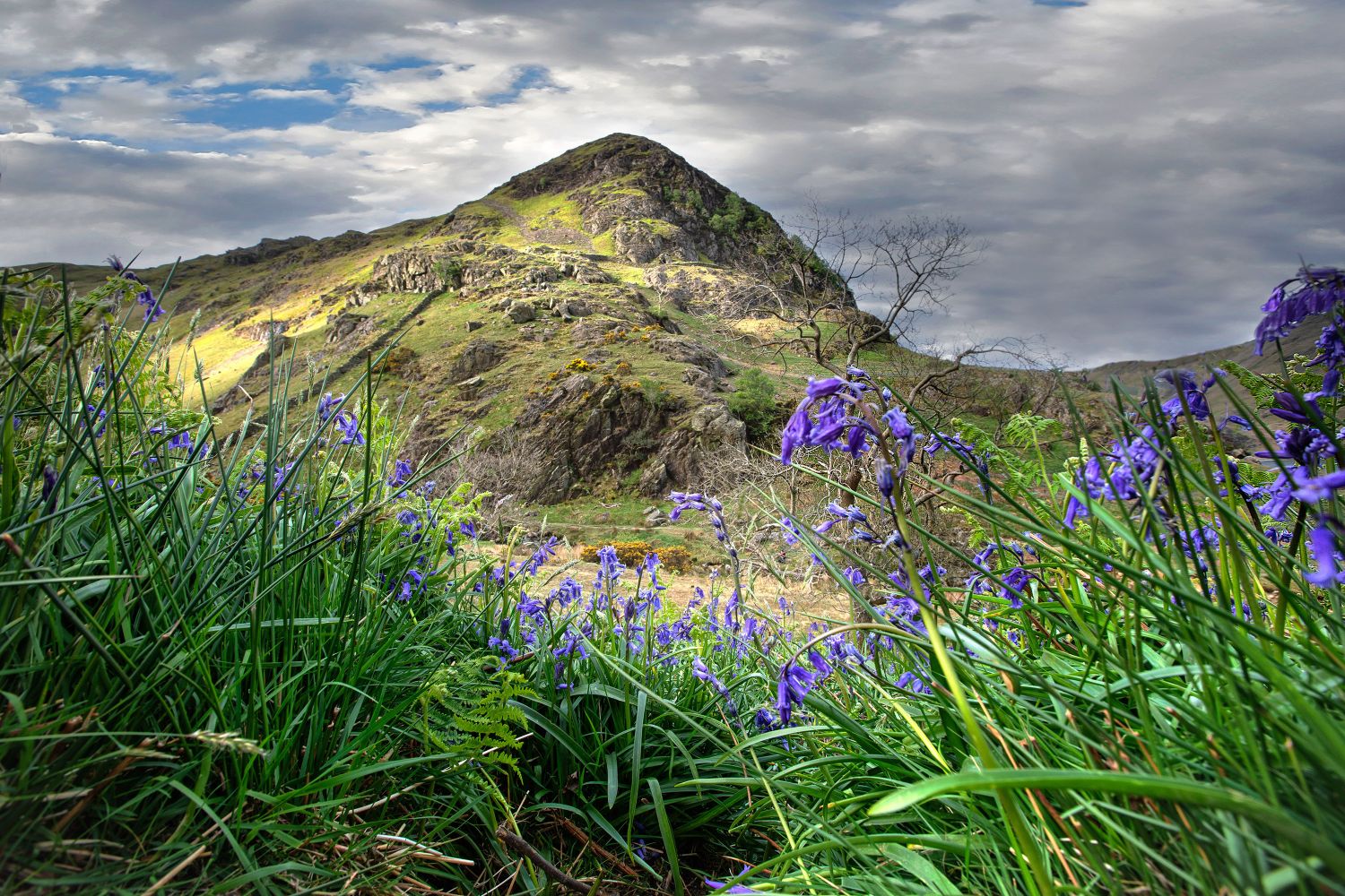 Through the Bluebells to Rannerdale Knotts by Martin Lawrence Photography Through the Bluebells to Rannerdale Knotts by Martin Lawrence Photography