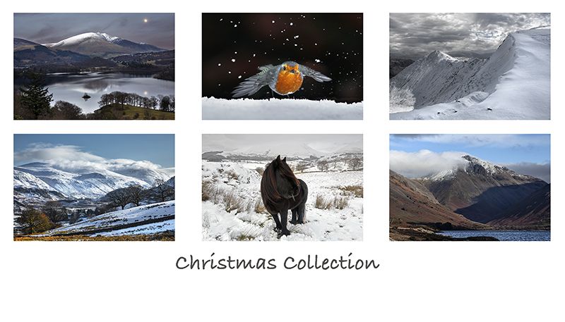 Christmas Collection of Greeting Cards by Martin Lawrence Christmas Collection of Greeting Cards by Martin Lawrence