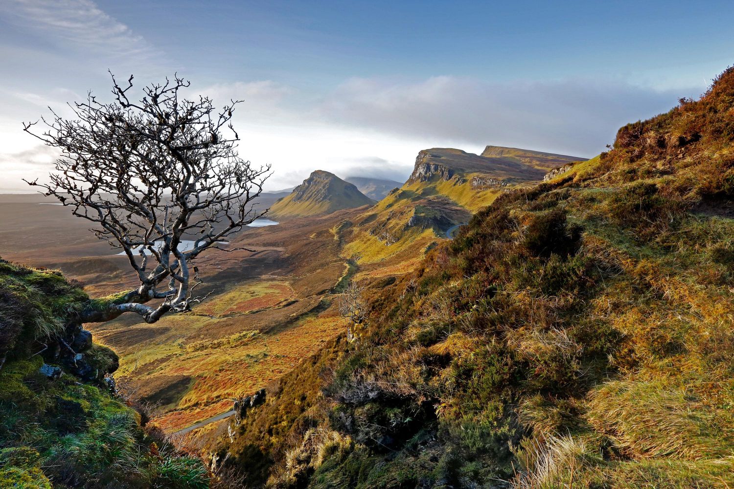 The Famous Quiraing Tree on the Trotternish Peninusla Isle of Skye.