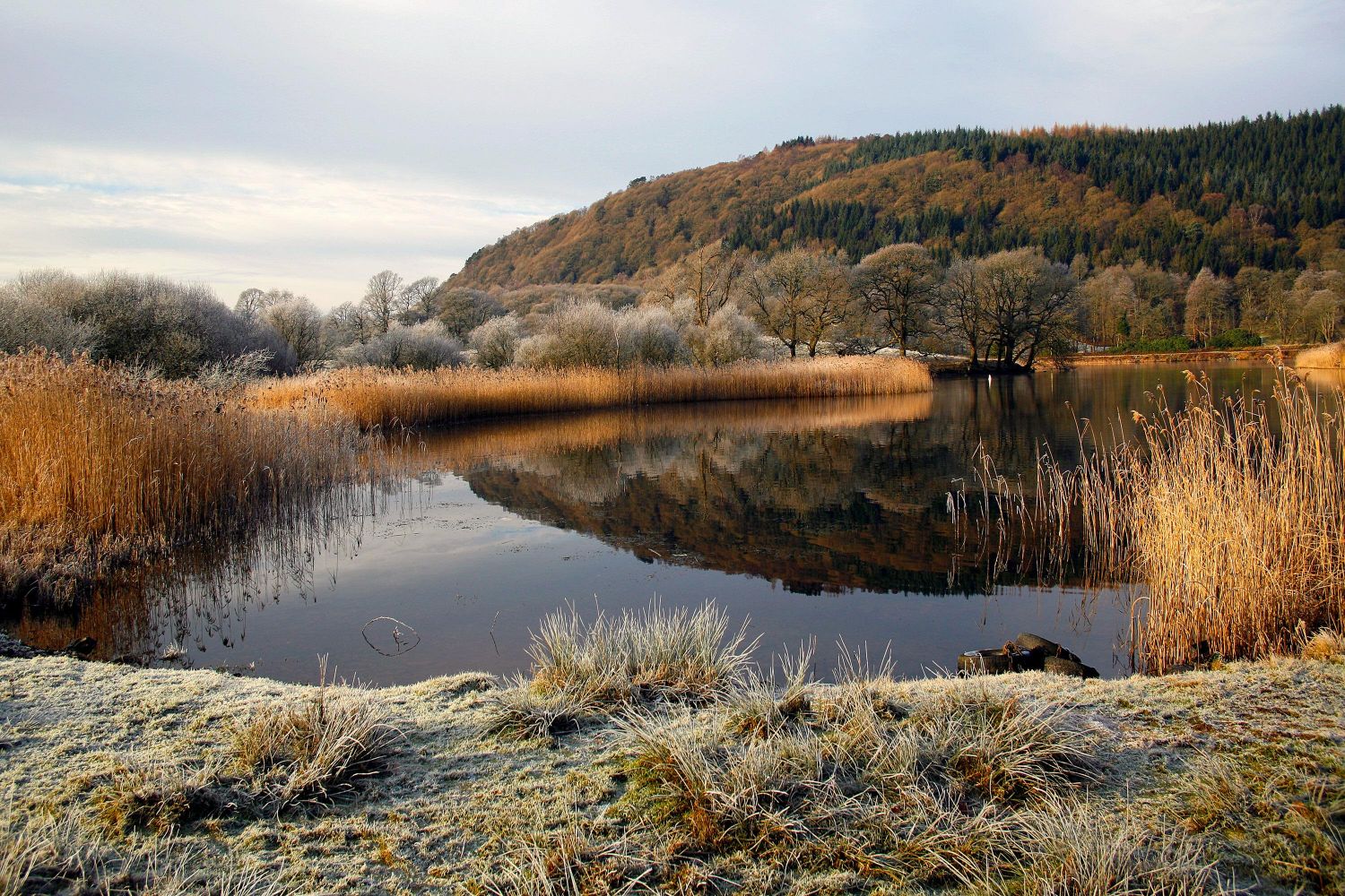 Frosty morning at Fell Foot Park, Windermere