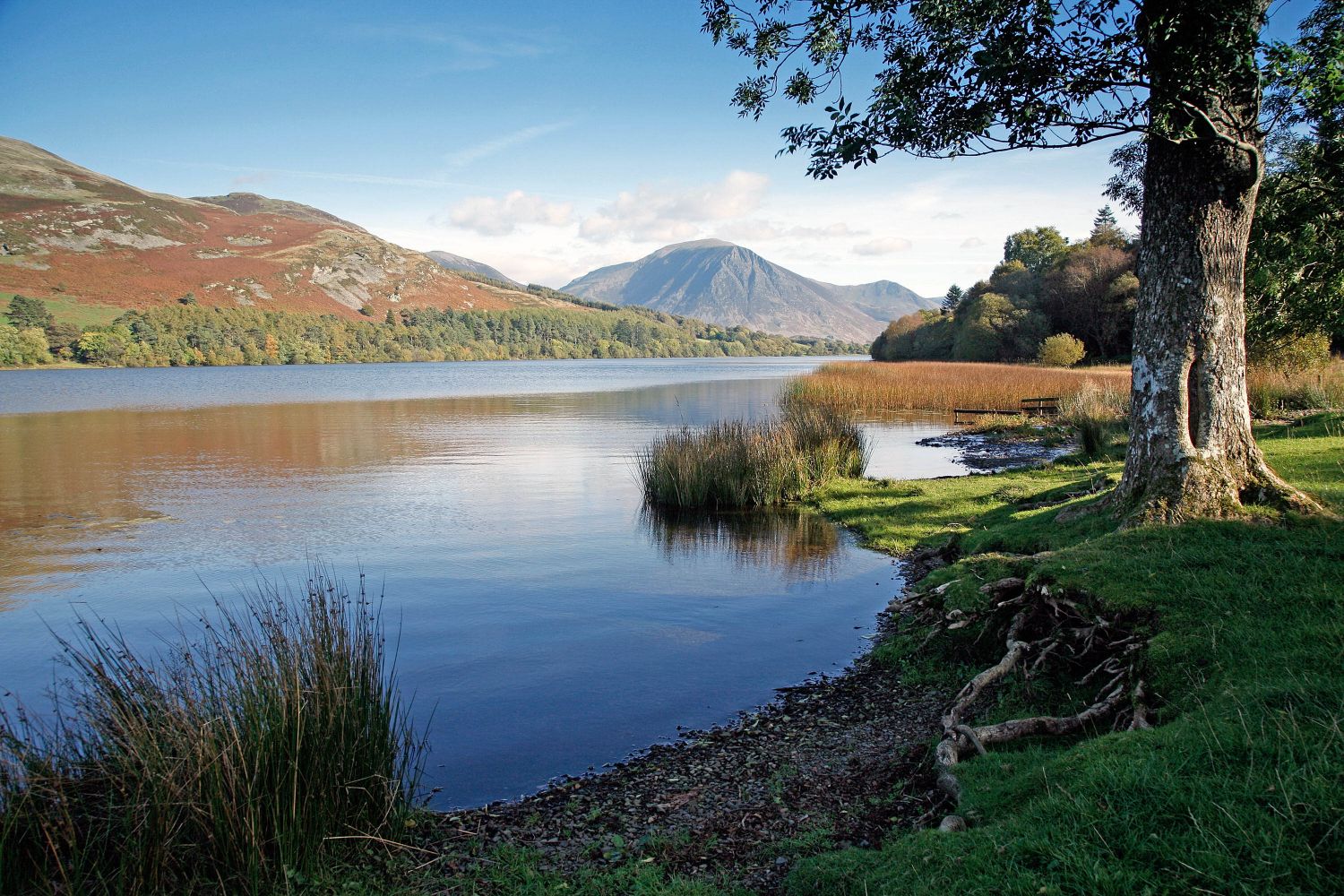 Loweswater and Grasmoor from Holme Wood