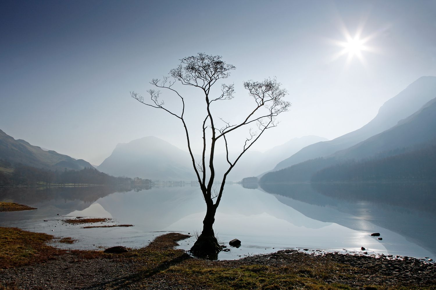 Morning Mist on Buttermere and the famous lone tree that stands on its northern shore