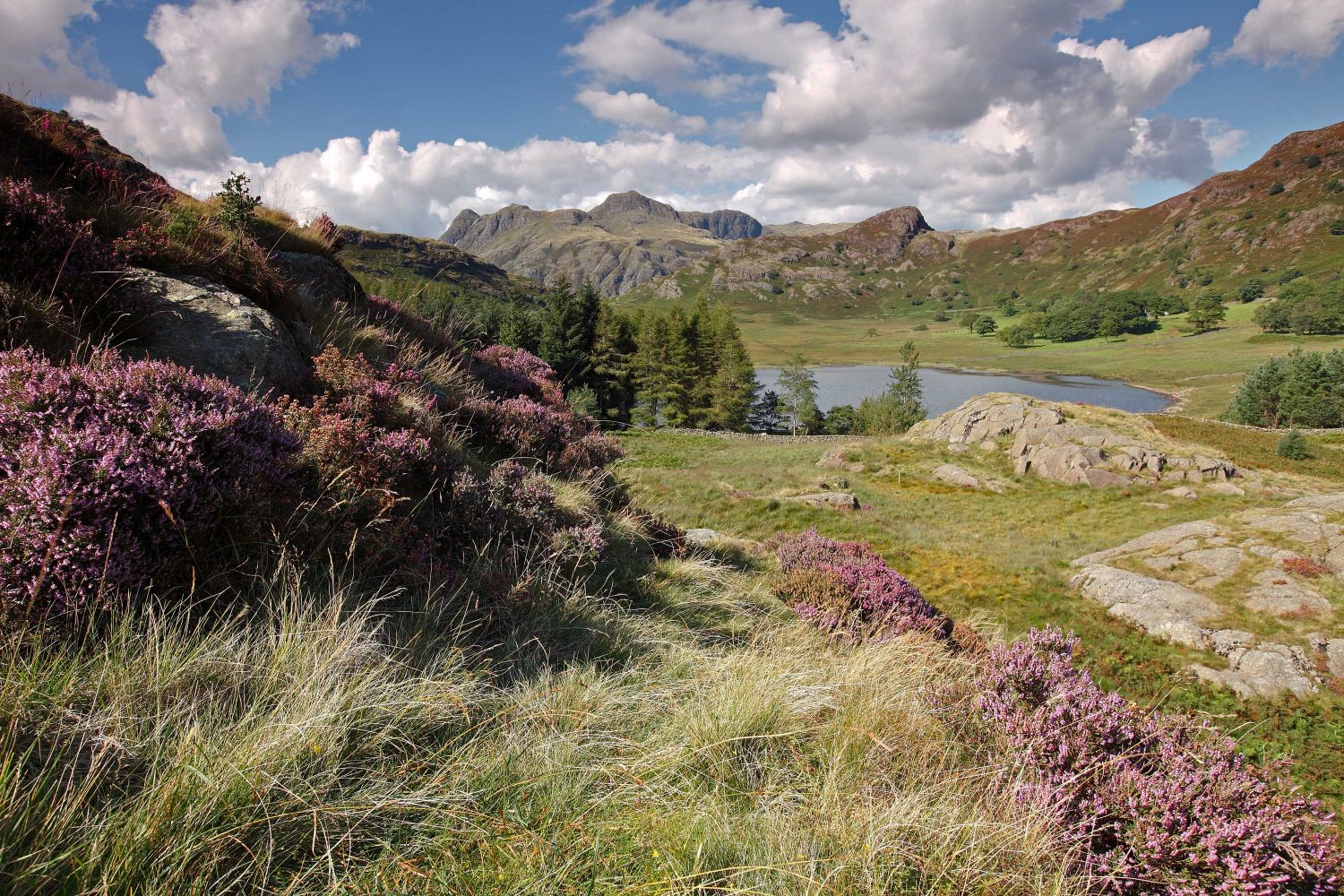 Blea Tarn the Langdales and Side Pike