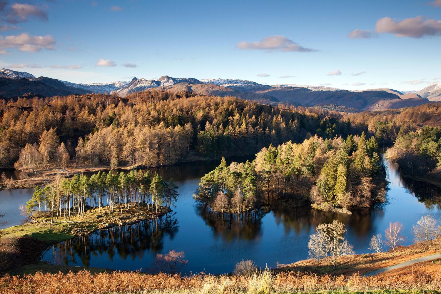 Tarn Hows in autumn sunshine