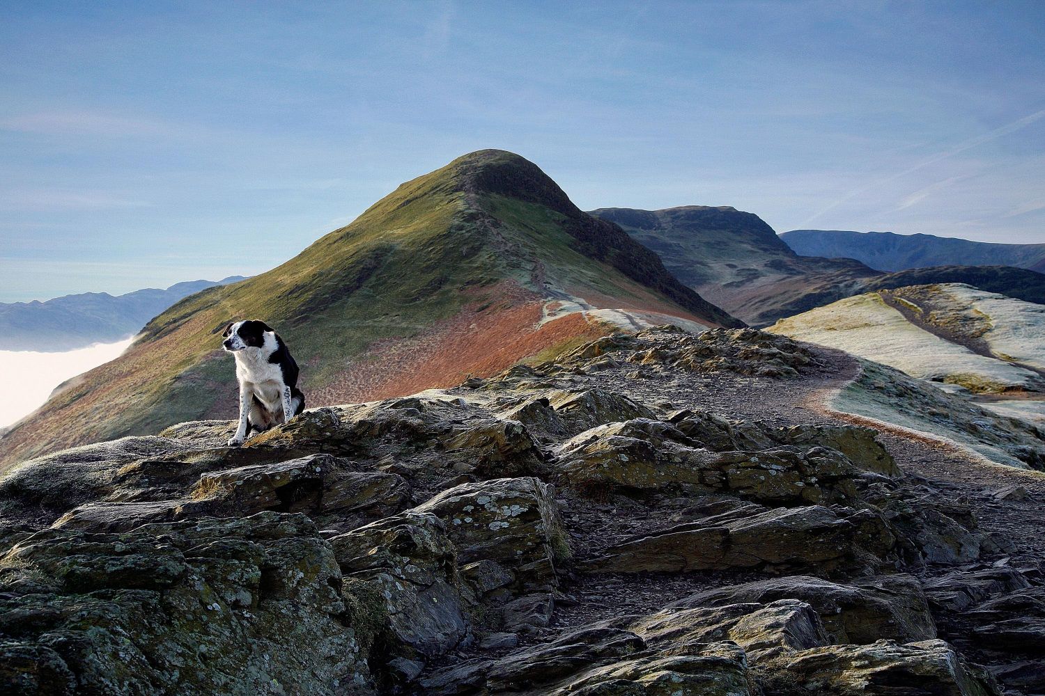 It's a dogs life on the footpath to Catbells