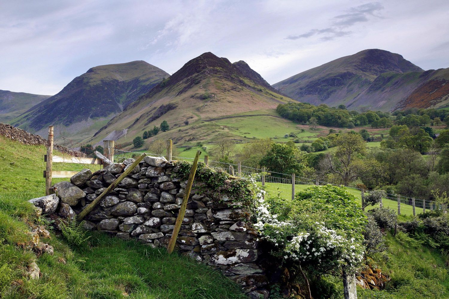 Hindscarth, Robinson and Scope End taken in springtime from Little Town in the Newlands Valley