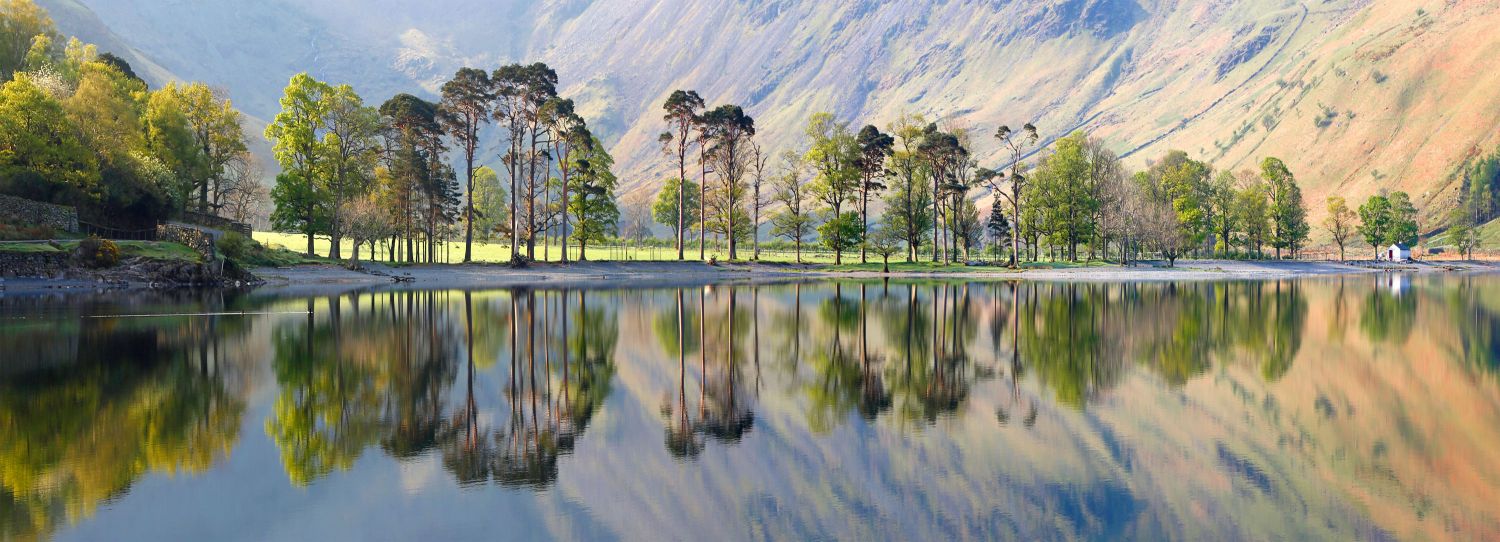 Sunrise over the Buttermere Pines