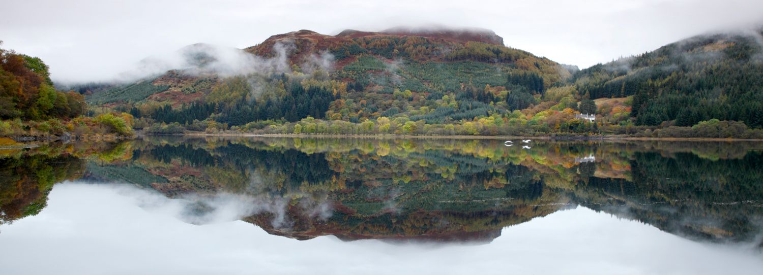 Swans in the mist over Loch Lubnaig Scotland