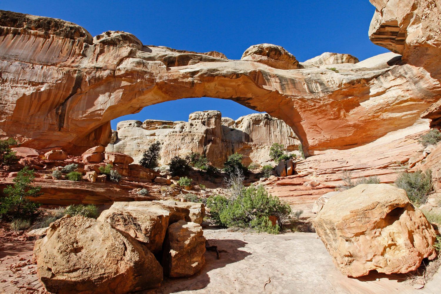 Hickman Bridge, Capitol Reef an elegant natural arch