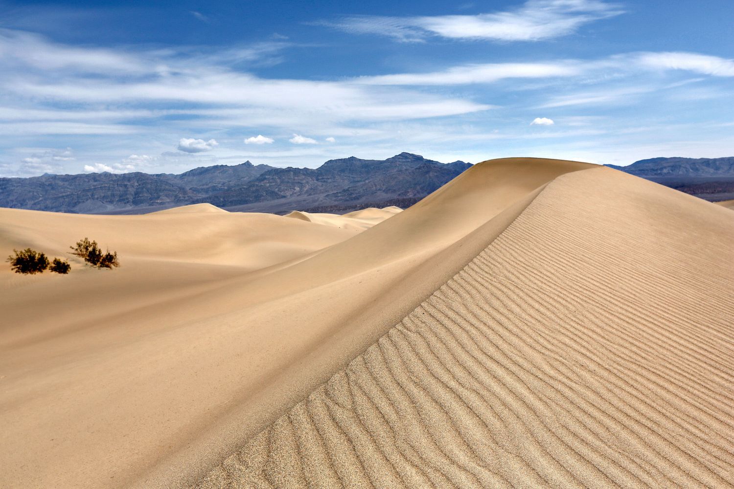 Mesquite Flat Sand Dunes, Death Valley