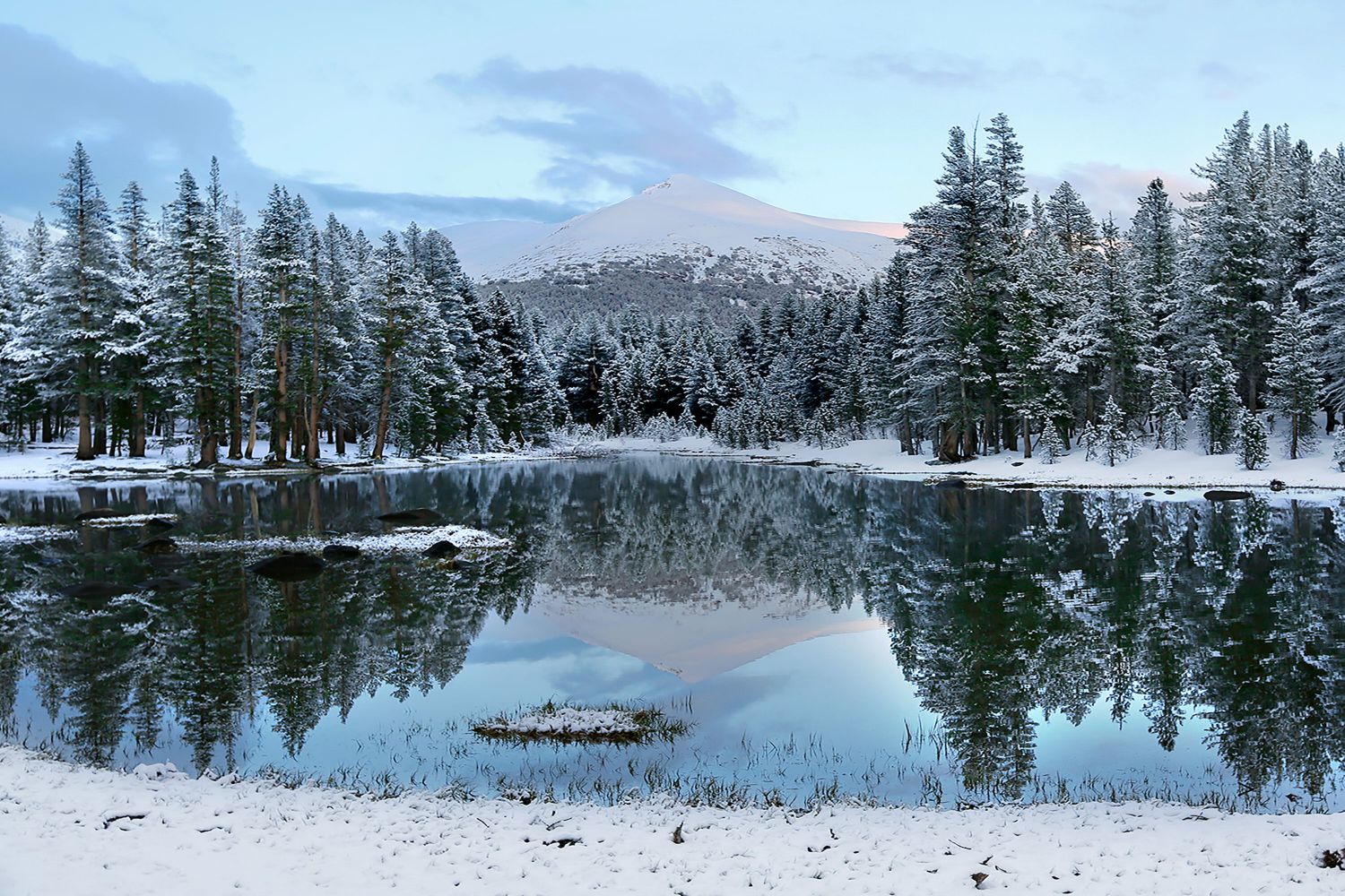 Reflections at Dana Meadows, Yosemite with several inches of autumn snow