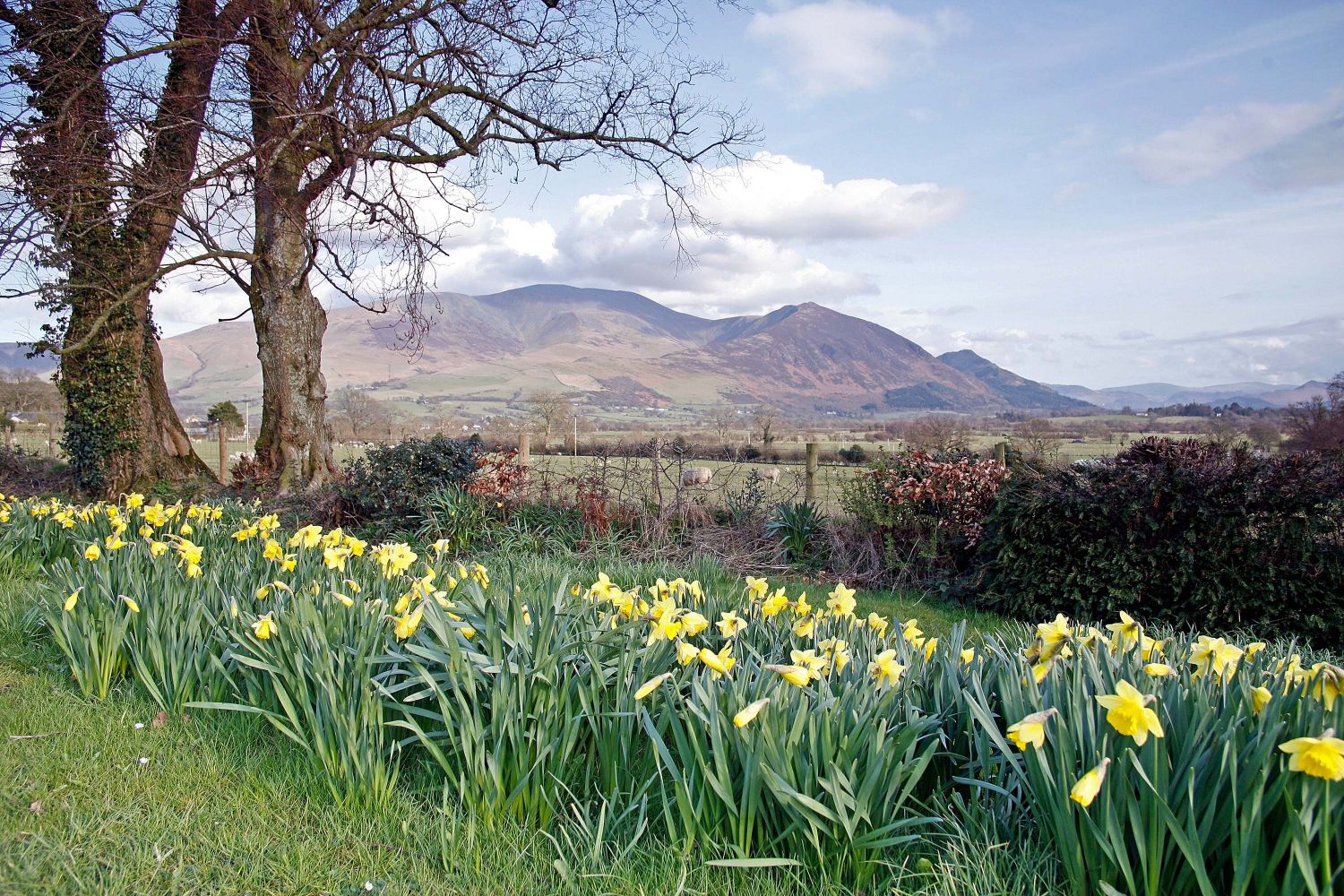 Skiddaw from the Castle Inn at Bassenthwaite