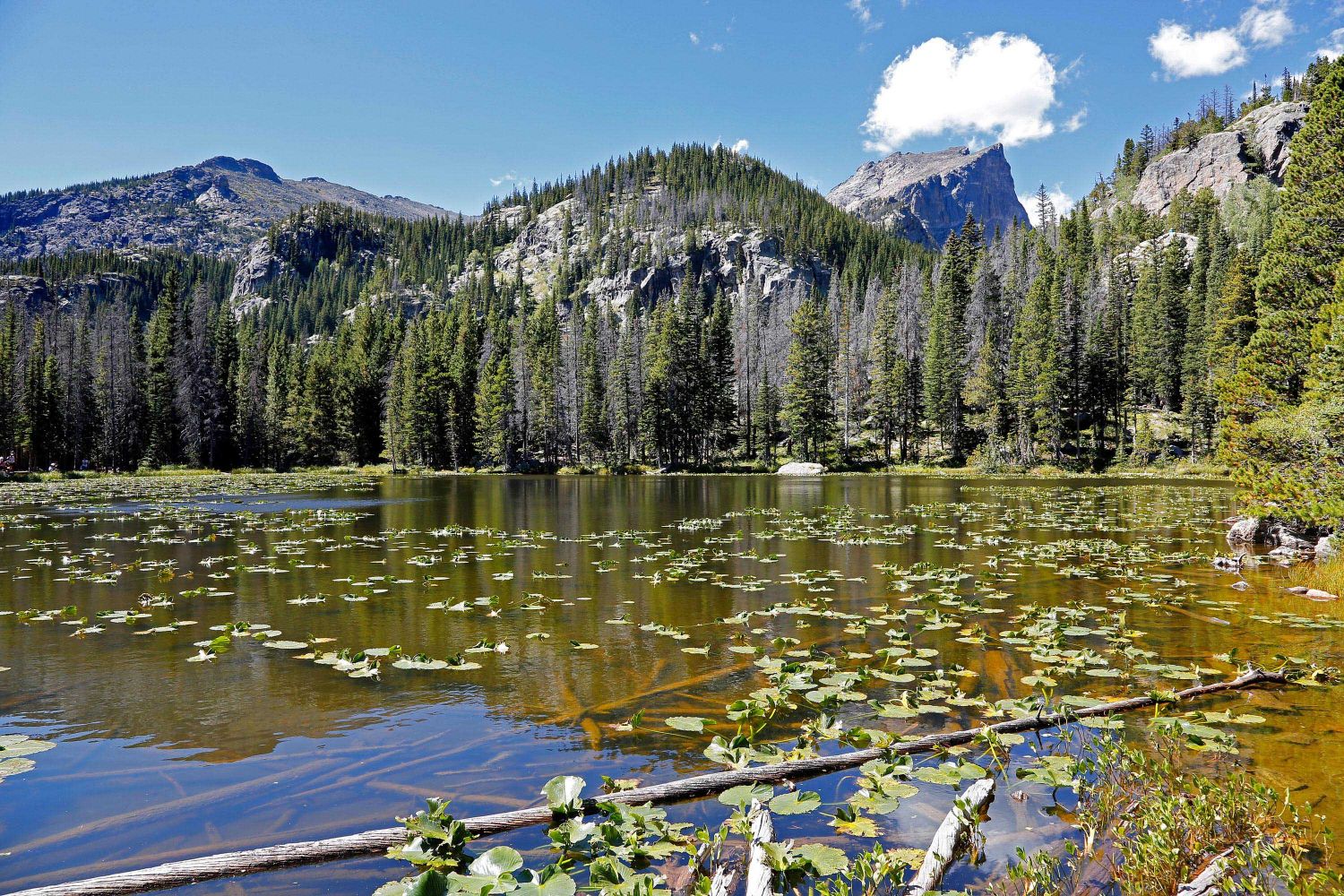 Nymph Lake, Rocky Mountains National Park