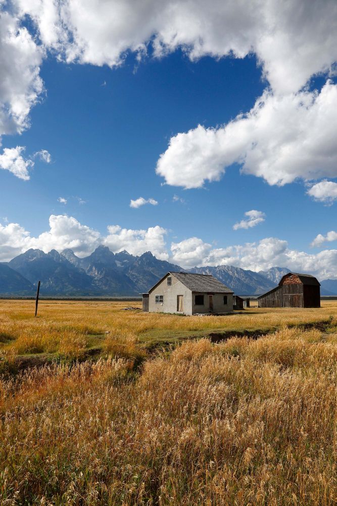 The Moulton Barns on Mormon Row, Grand Teton