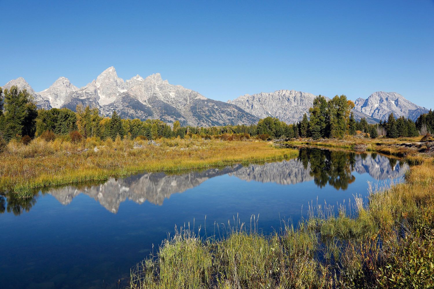 Schwabacher Landing, Grand Teton