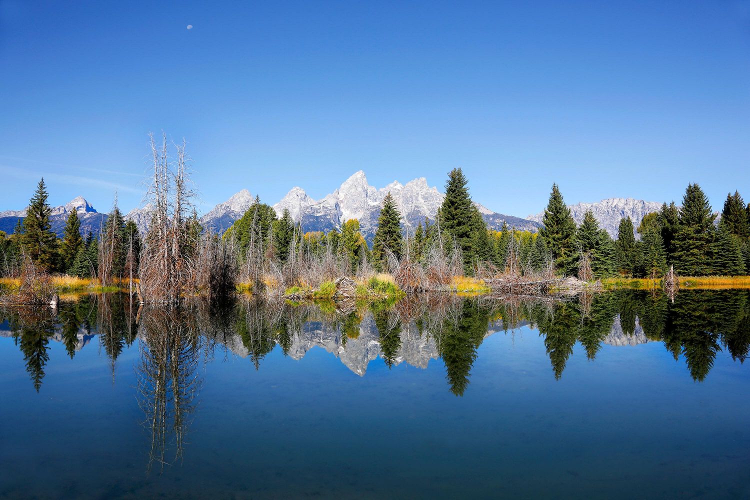 Schwabacher Landing reflections, Grand Teton