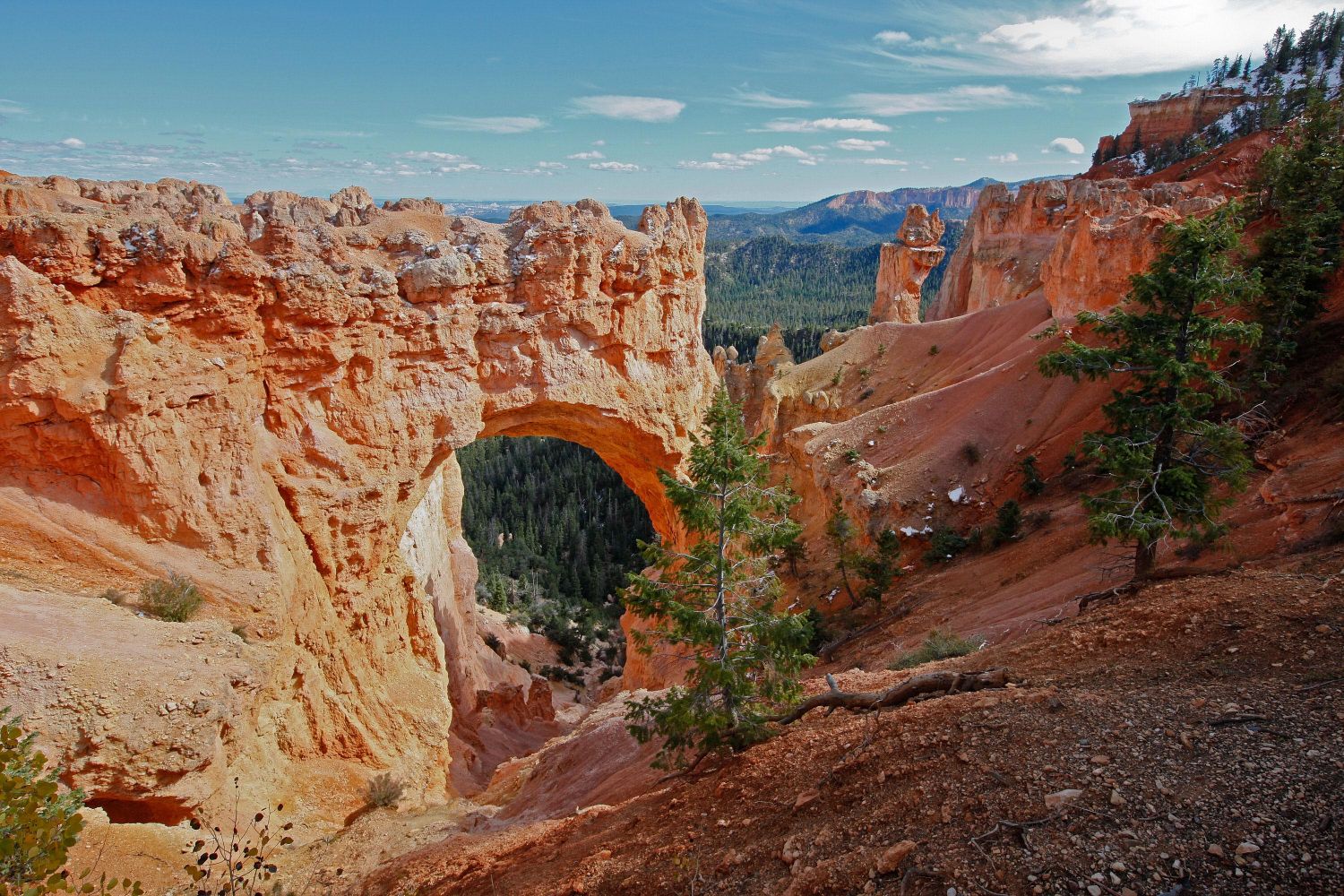 Natural Bridge Bryce Canyon