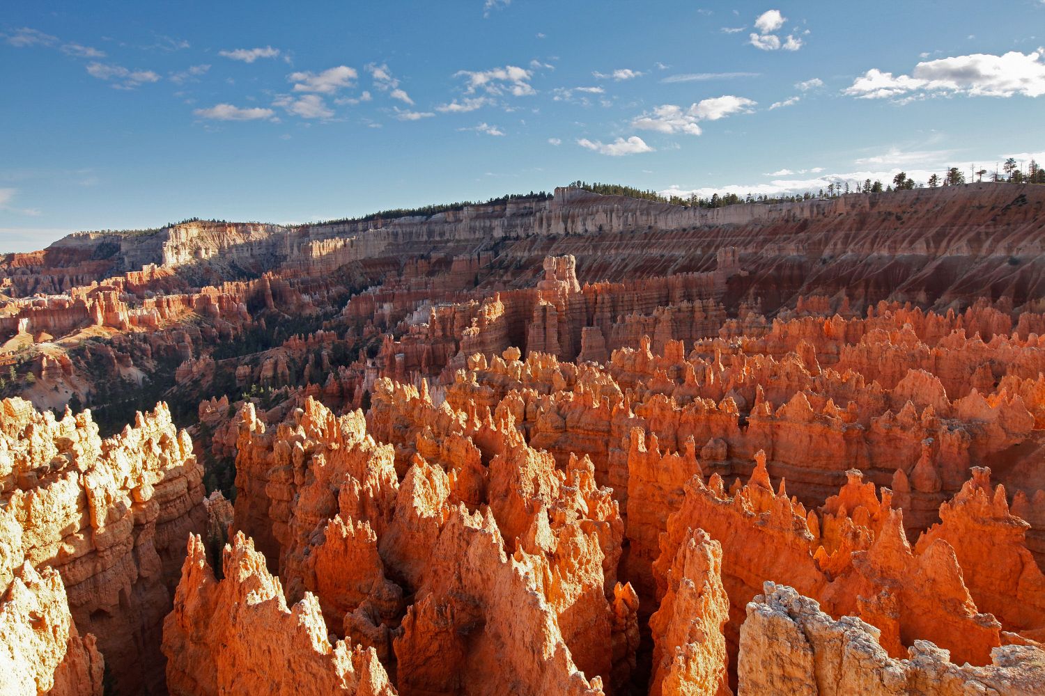 Sunrise Point at Bryce Vanyon