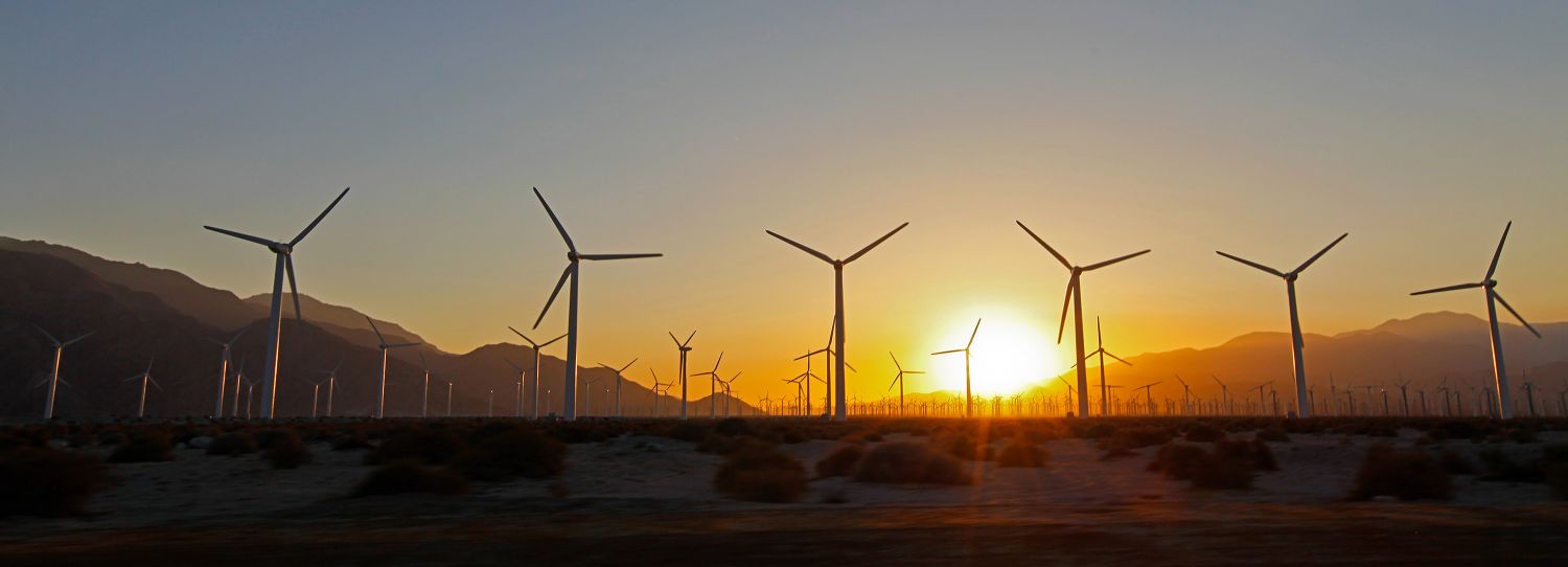The San Goronio Pass Wind Farm, Palm Springs