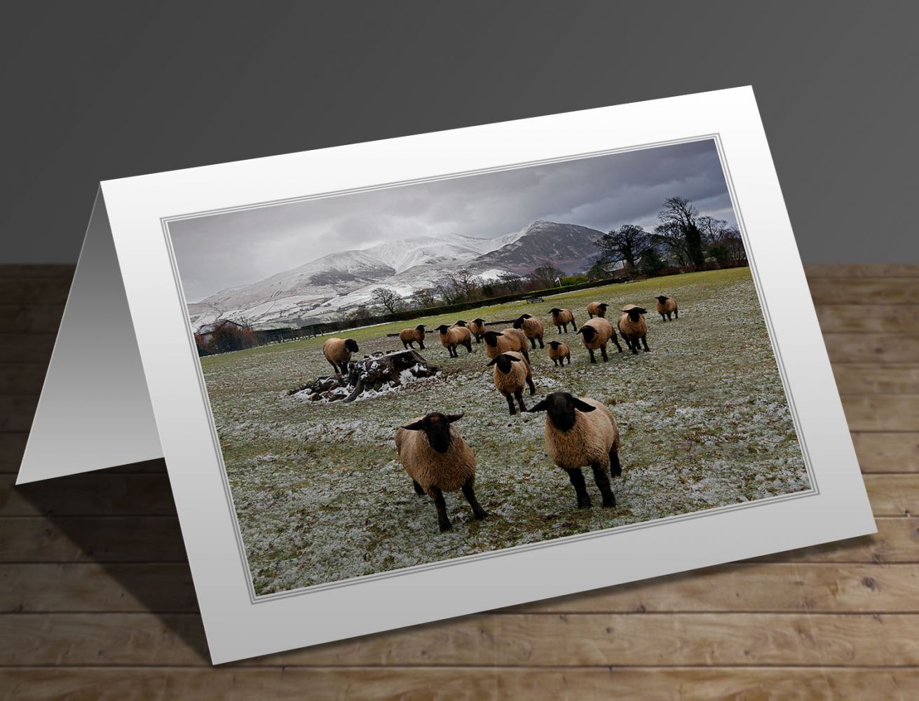 What ewe looking at Bassenthwaite Lake District greeting card