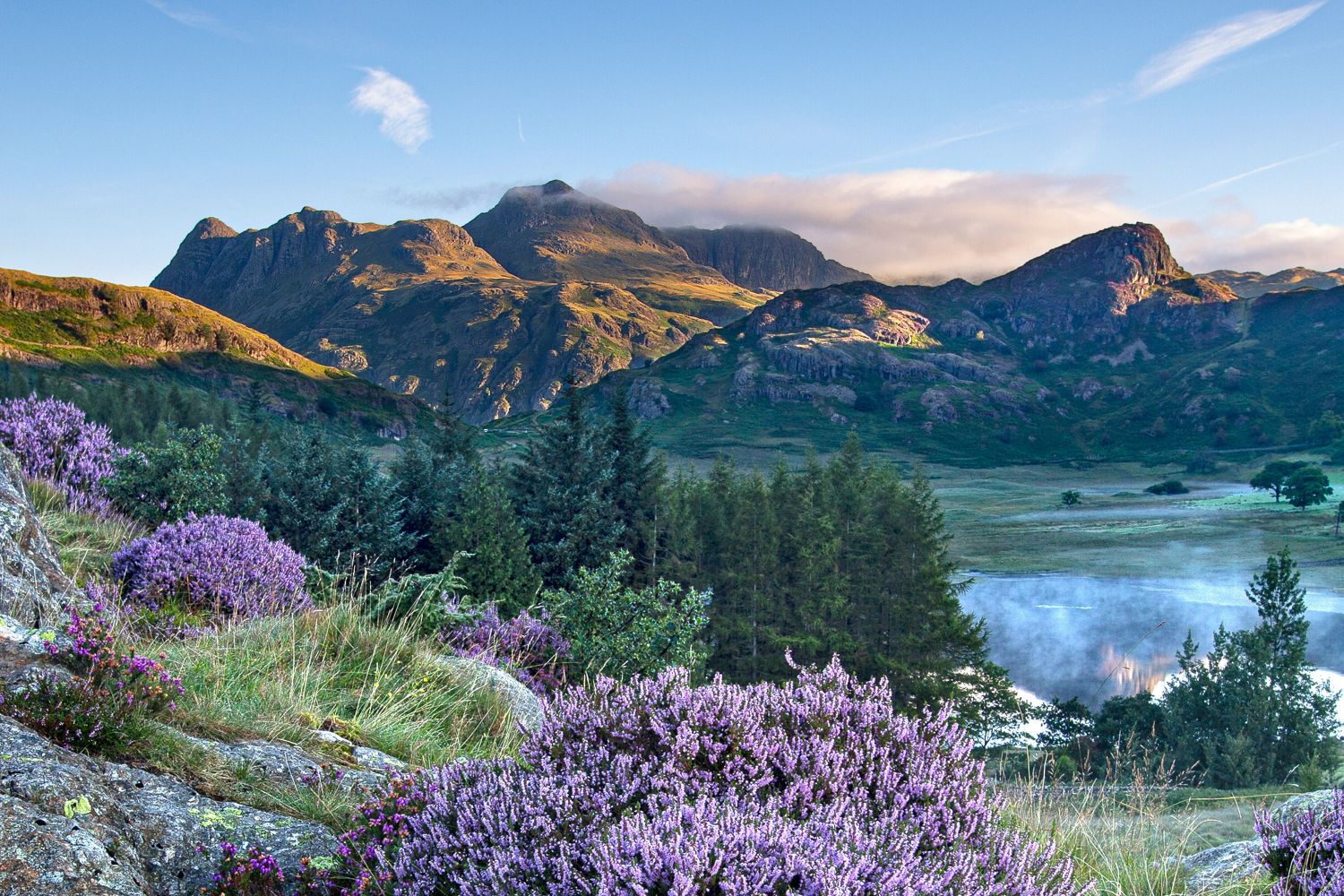 Heather surrounds a misty Blea Tarn and the Langdales