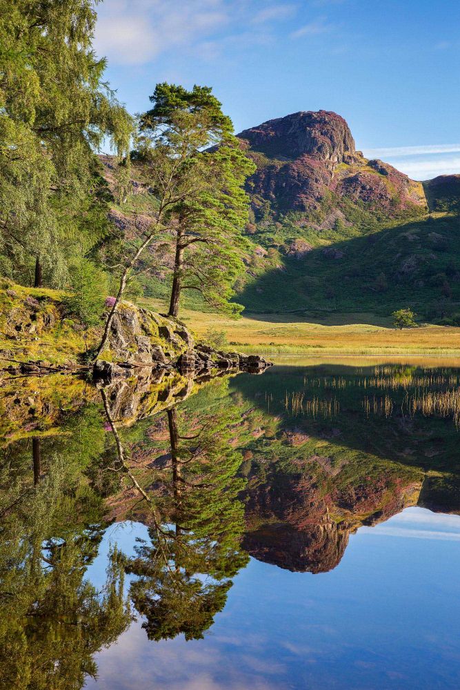 Side Pike from Blea Tarn taken in late summer