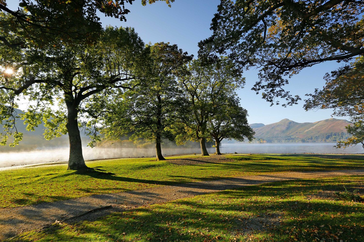  Mist over Strandshag Bay Derwentwater with Catbells seen through the row of trees.